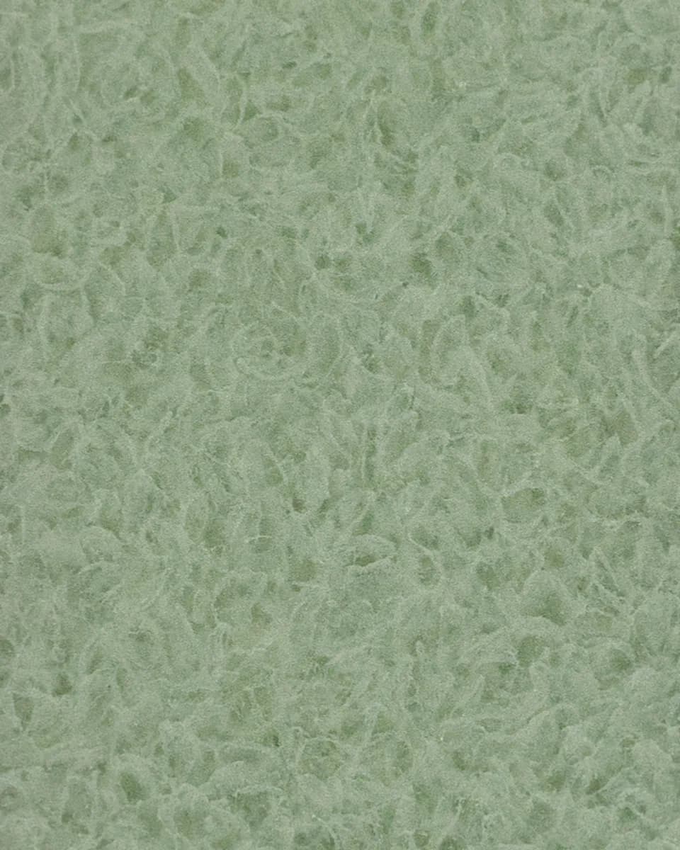 FANTOPLAST | Wagner | Pigment Series